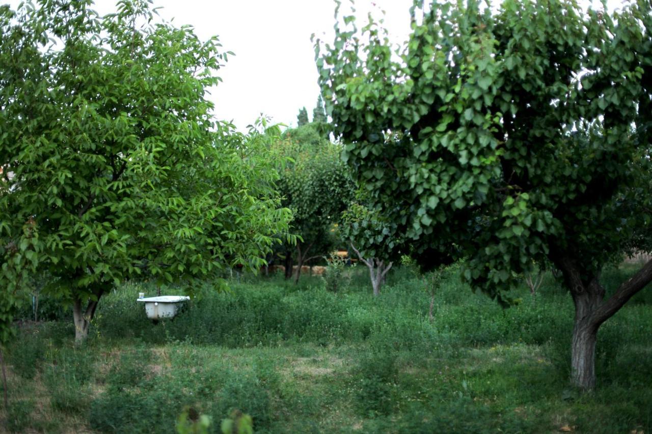 Noosh Guesthouse Ashnak Zewnętrze zdjęcie