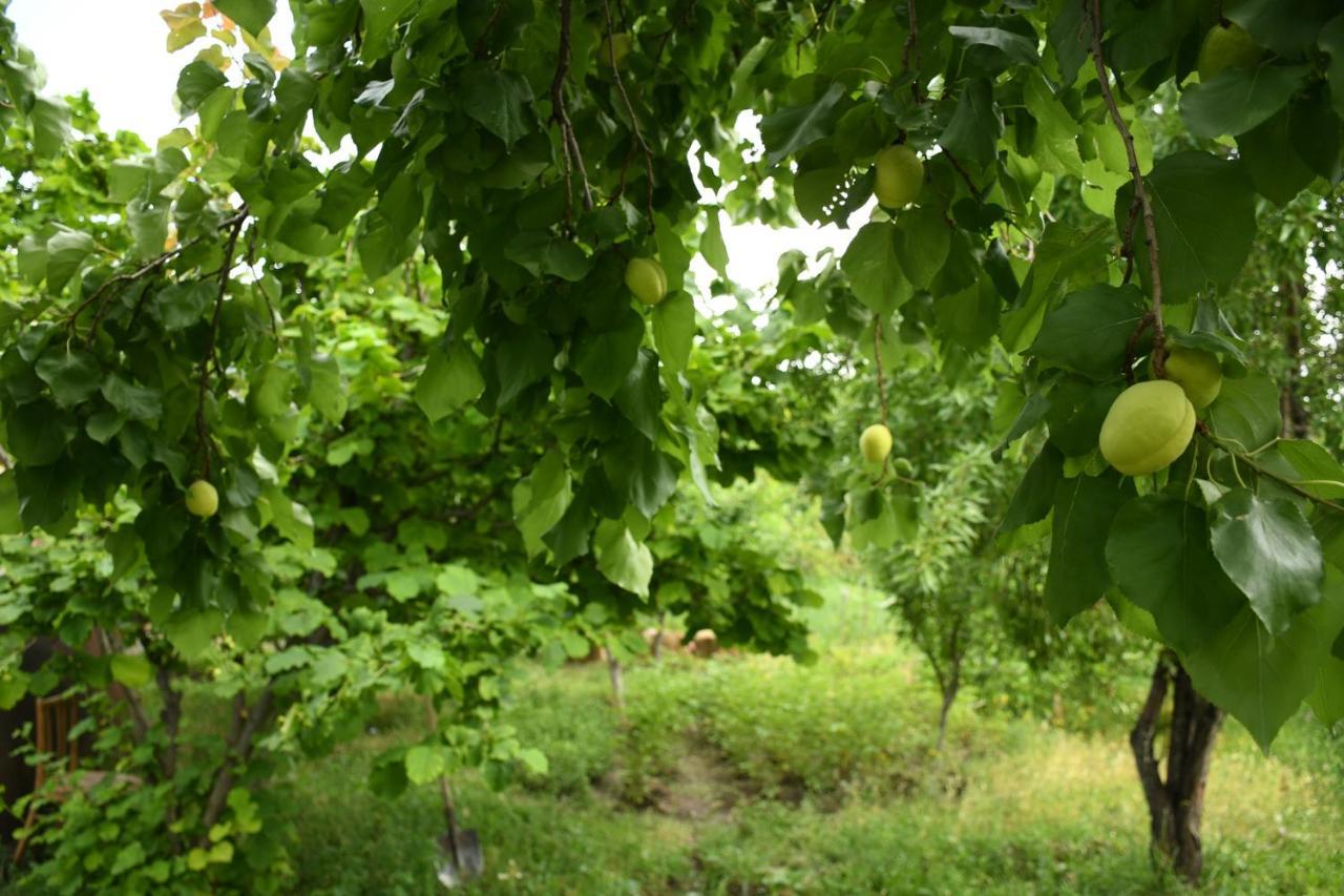 Noosh Guesthouse Ashnak Zewnętrze zdjęcie